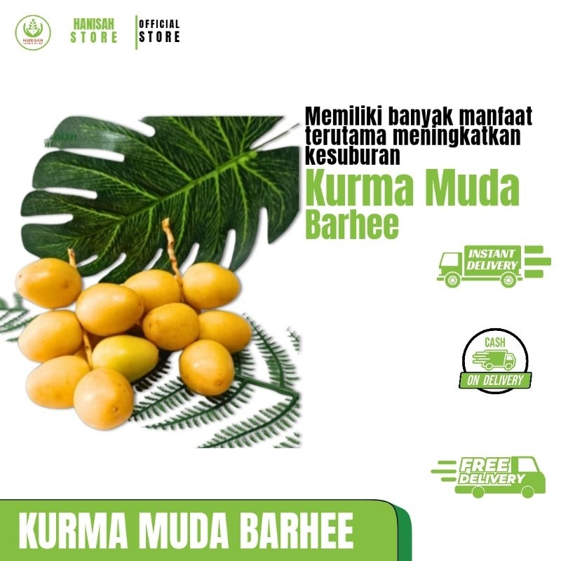 

KURMA MUDA BARHEE | KURMA MUDA KUNING | 250 gr, 500 gr, 1 kg | hanisahstore