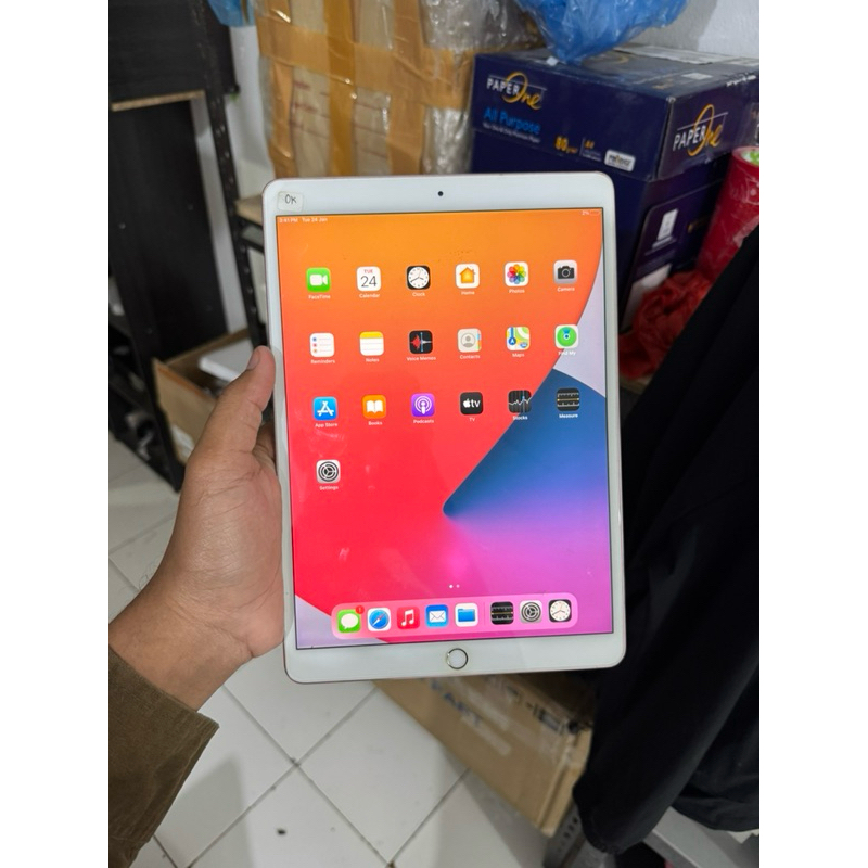 Ipad Pro 10.5 inc 256gb ( Minud Dikit )