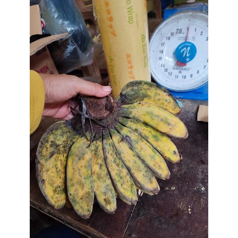 

pisang kepok / gaje