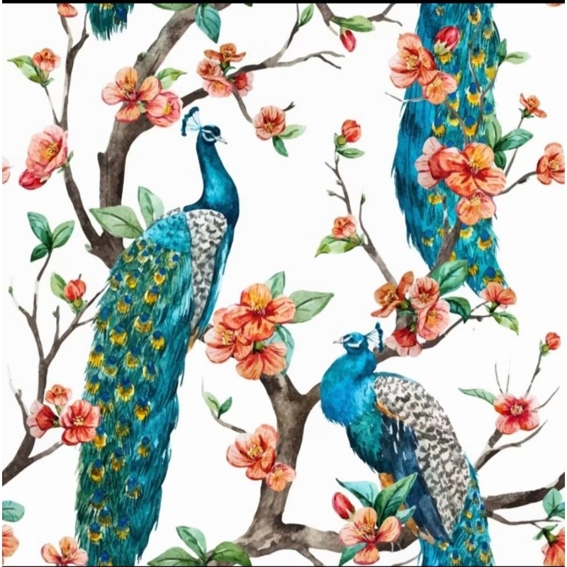 Tissue Decoupage Eropa