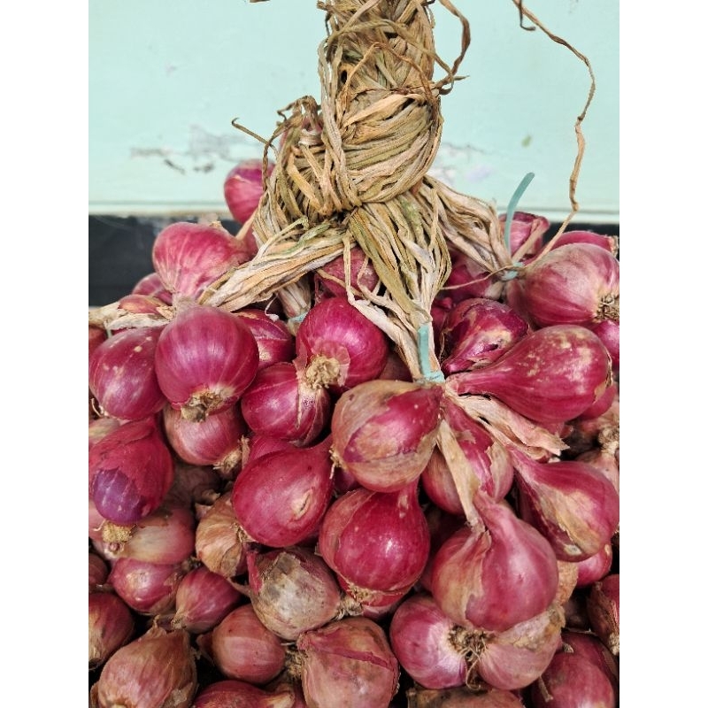 

Bawang Merah Asli Probolinggo