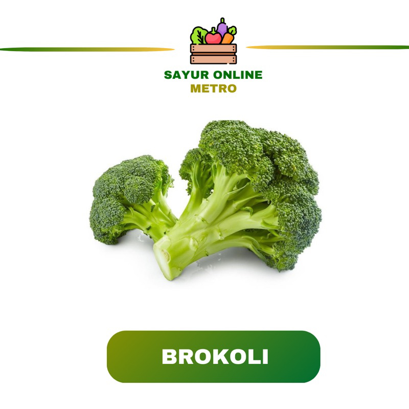 

Brokoli Segar 1 pcs - Sayur Online Metro