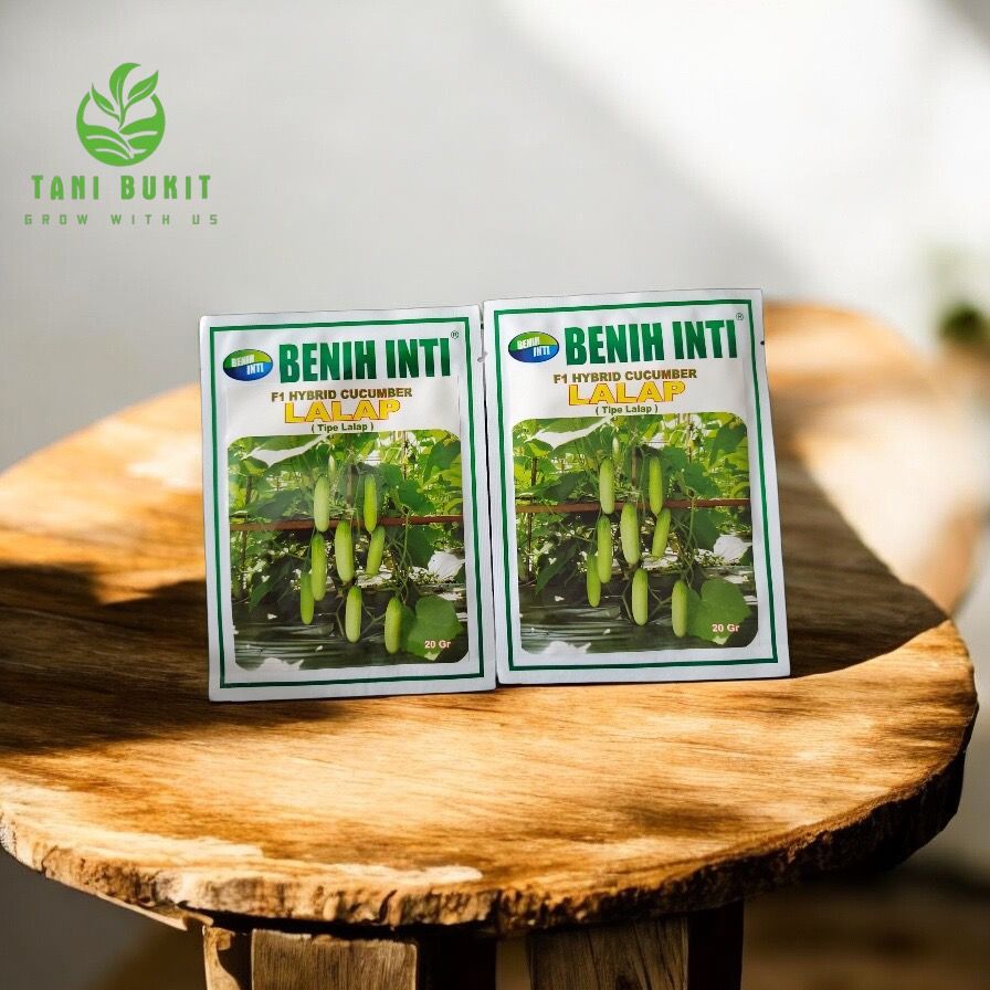 BENIH TIMUN F1 HYBRIDA LALAP 20GR - BENIH INTI