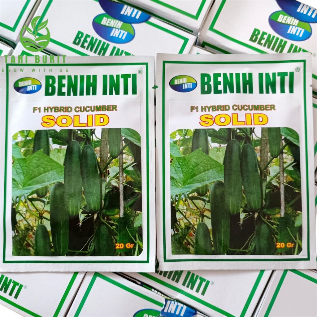 BENIH TIMUN F1 HYBRIDA SOLID 20 GRAM - BENIH INTI