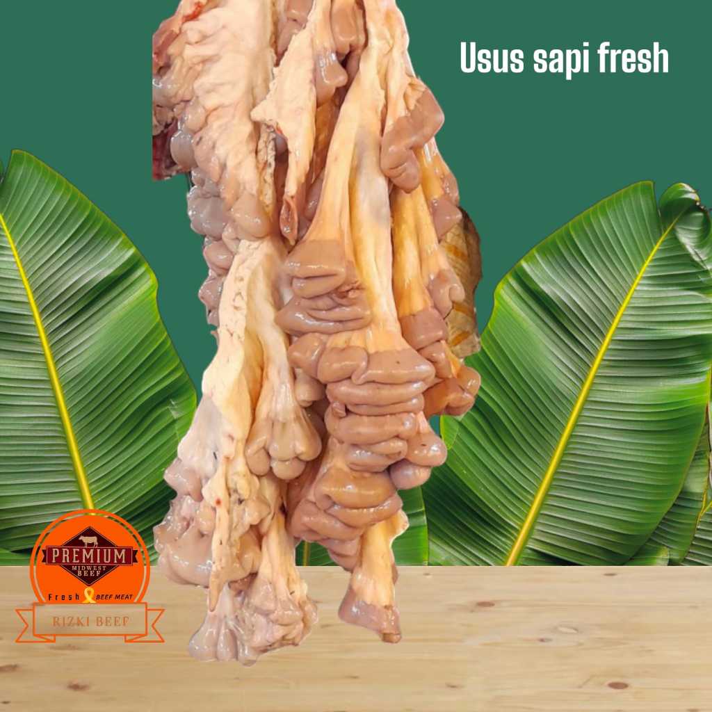 

Jeroan Sapi/Usus Sapi Lokal Bersih Fresh 500g-1kg(HALAL)