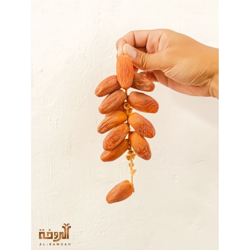 

Kurma Al Rawdah tangkai tunisia 500 gr premium