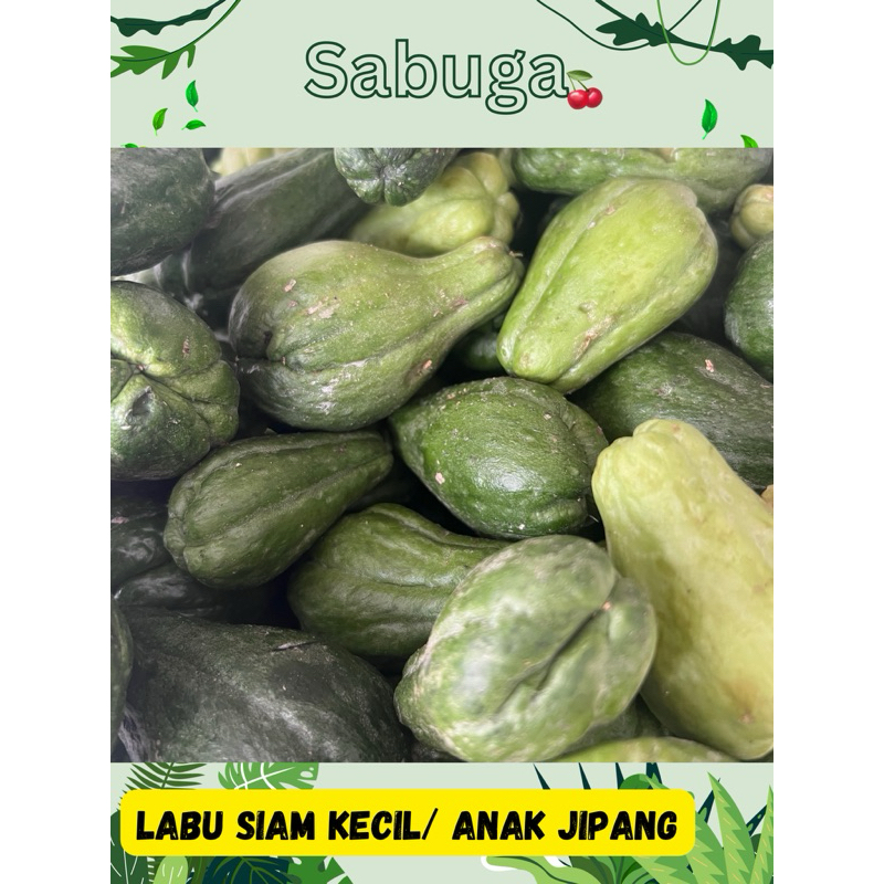 

LABU SIAM KECIL/ ANAK JIPANG PER 500gr