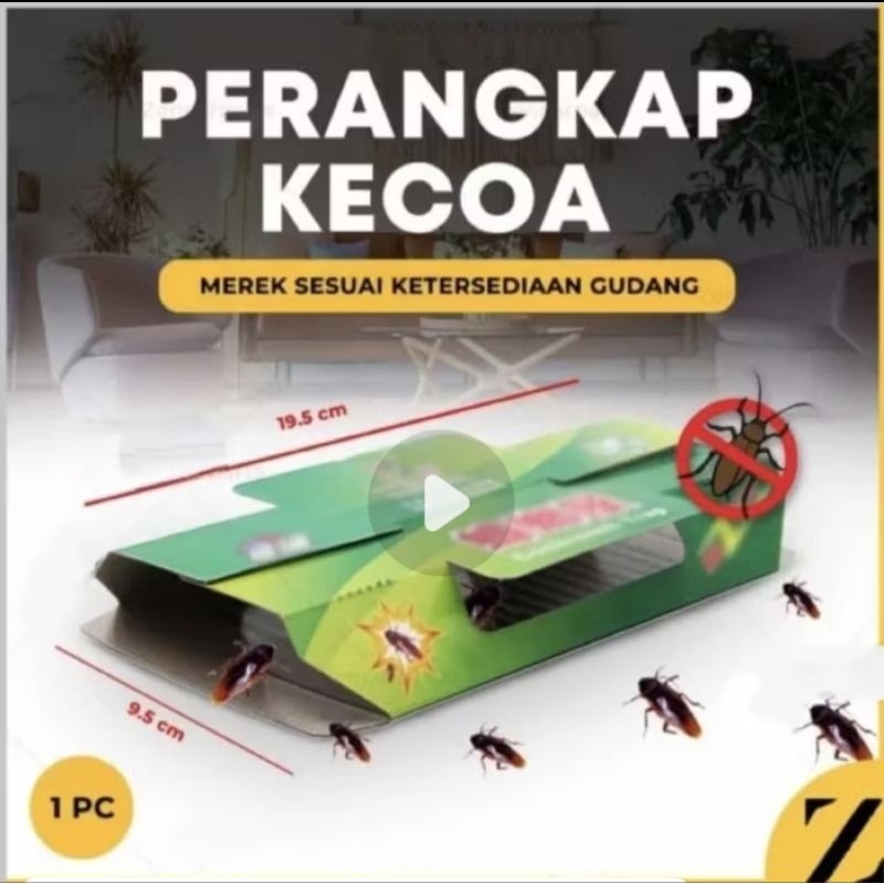 Lem Kecoa Dan cicak/ perangkap serangga murah/ lem cicak serangga perangkap kecoa cicak