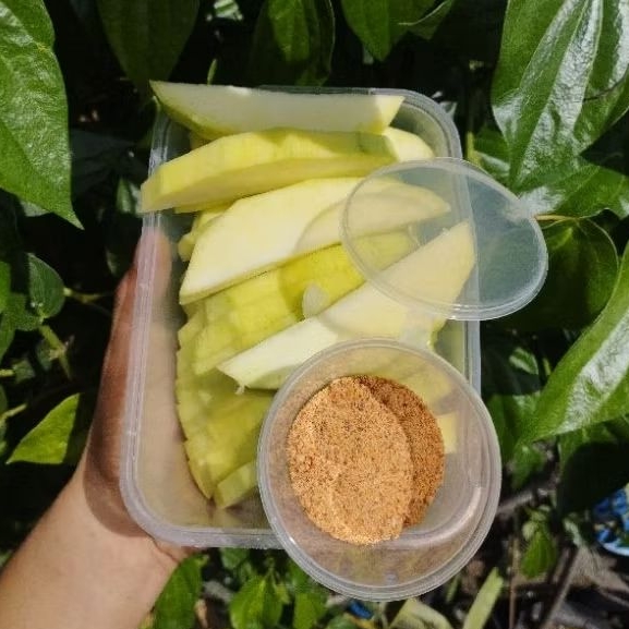 

PROMO ANEKA RUJAK [500GR] BUMBU BANGKOK FRESH