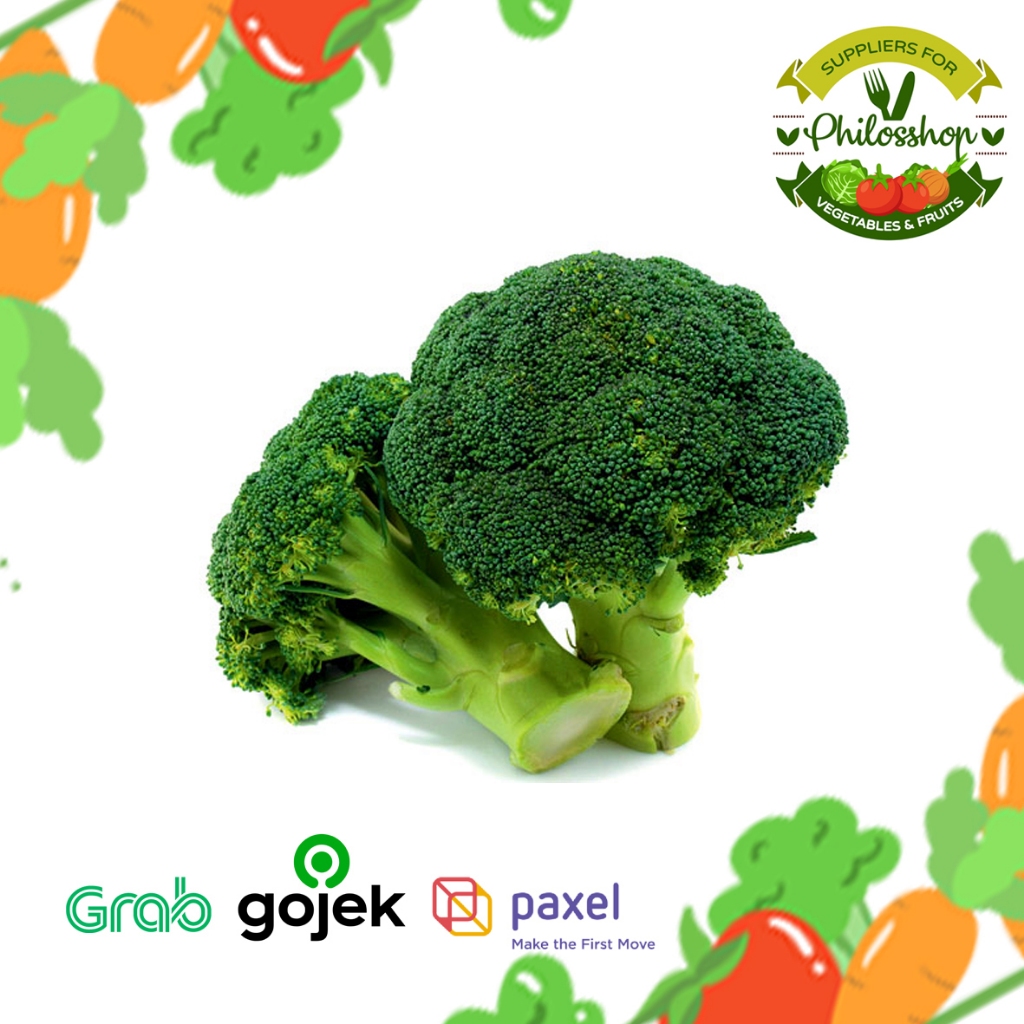 

BROCOLI IMPORT-BROKOLI IMPORT-BROKOLI SEGAR-BROCOLI SEGAR