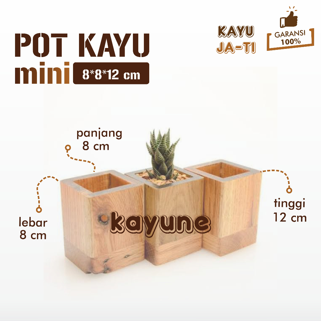 Pot Kaktus dan Tanaman Hias Mini Ukuran 8x8x12 cm Bahan Baku Kayu Jati Jawa Asli - kayune -