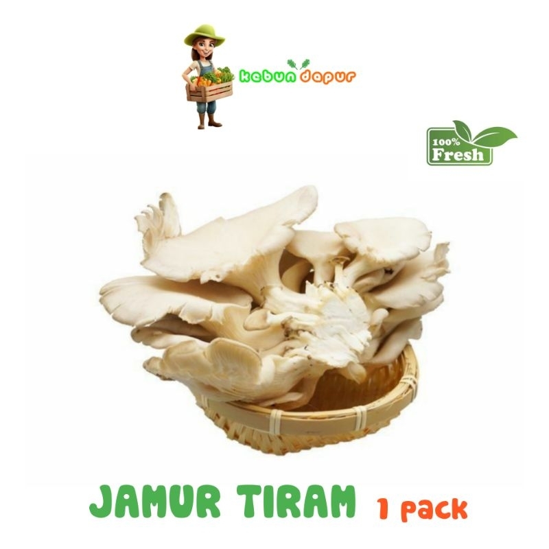 

JAMUR TIRAM FRESH Harga per 1 pack