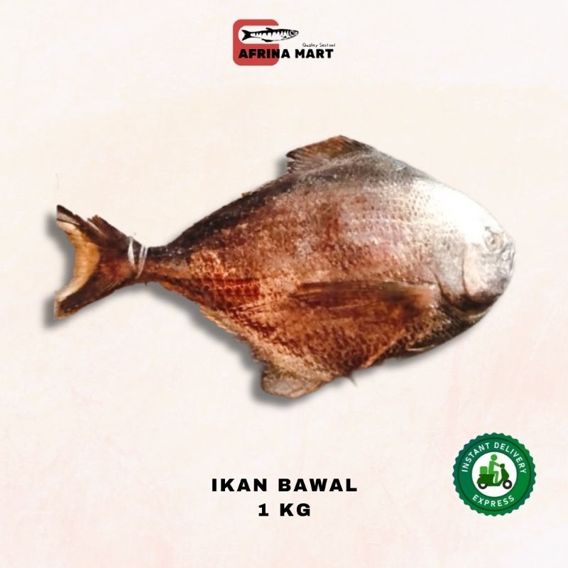 

Ikan Bawal 1 kg Frozen - Kirim Instant Afrina Mart