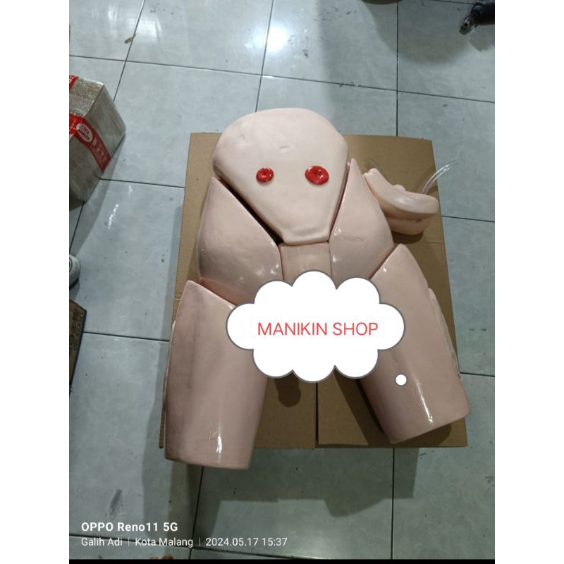 MANEKIN KATETER |MANEKIN MULTIFUNGSI |PHANTOM |ALAT PERAGA KATETER PRIA DAN WANITA