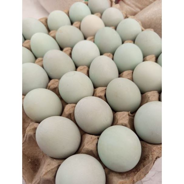 

Telur Asin Bebek Matang