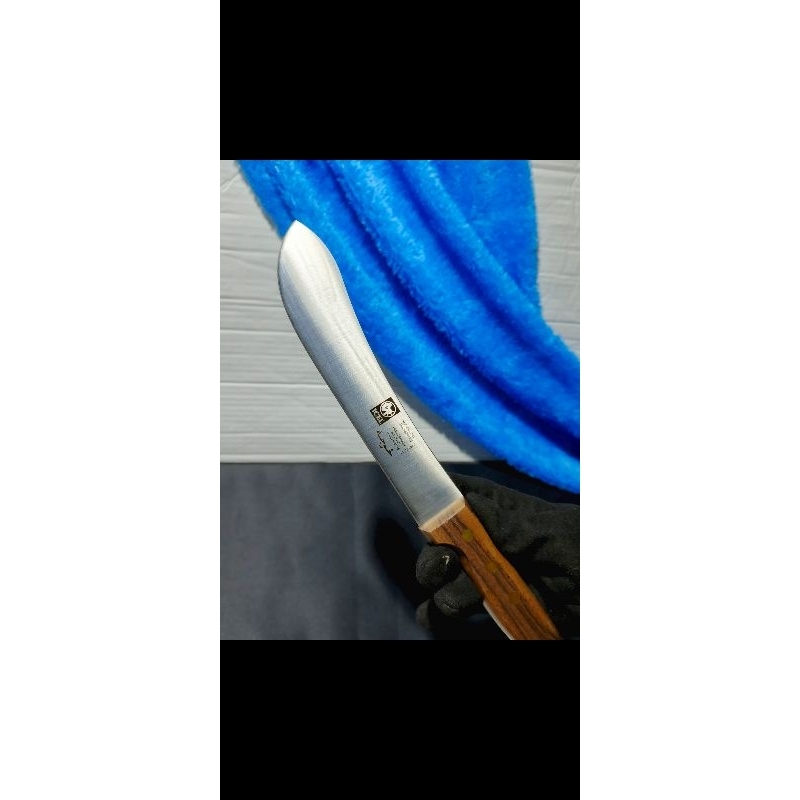 pisau victorinox icel dsb