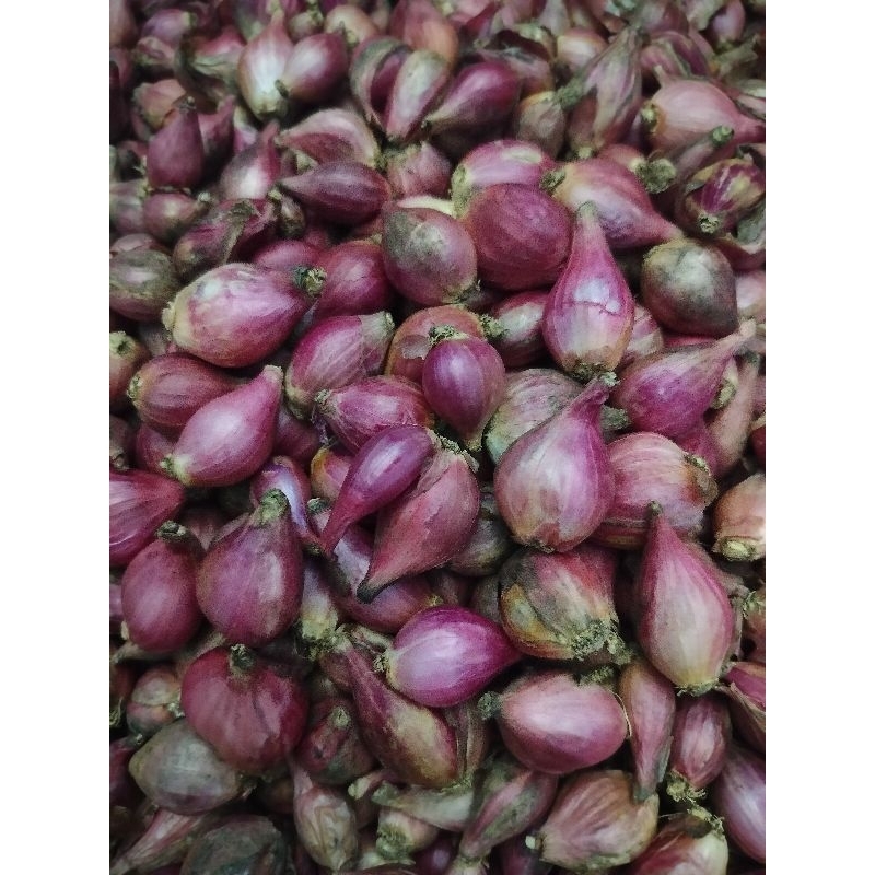 

RB Bawang Merah Brebes Segar 1kg