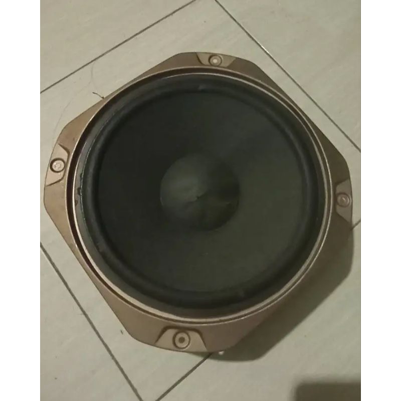 speaker sony 10 inch original