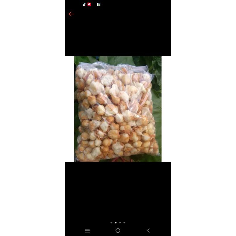 siomay mini / gurilem