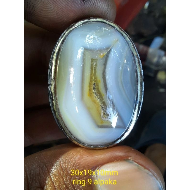 batu sulaiman kantong semar putih natural.