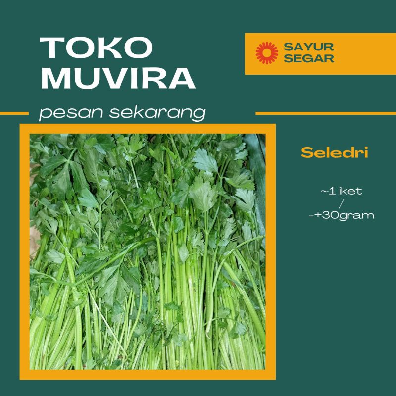 

Seledri/Saledri Segar 1iket (-+ 30gram), Bandung