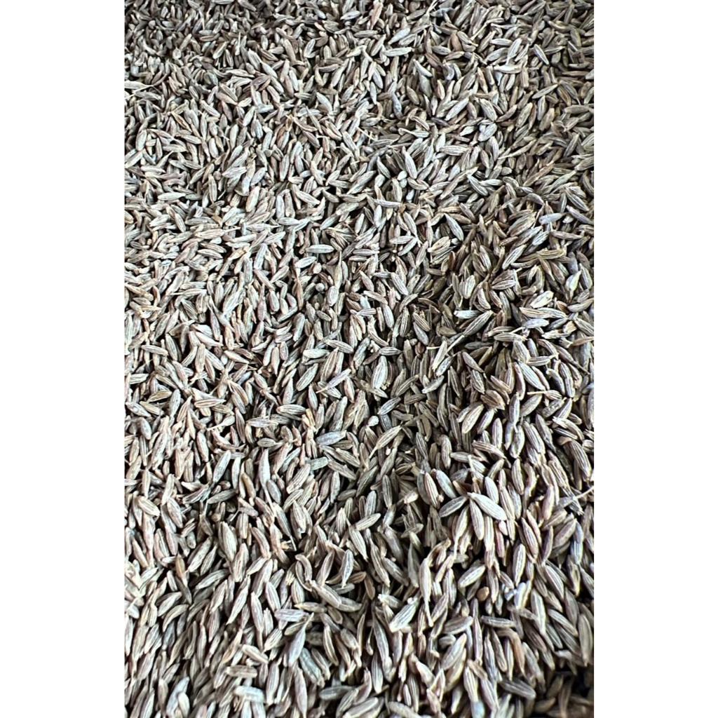 

Jintan Caraway / Jintan seeds / Jintan Masak / Biji Jintan Premium 1kg /Bumbu Masak Rempah