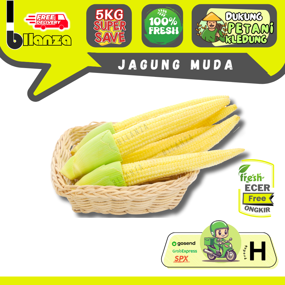 

Bllanza | Jagung Muda / Janggel / Posol — Baby Corn / ECER (H)