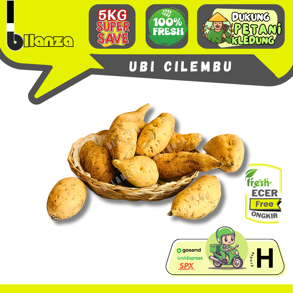 

Bllanza | Ubi Cilembu Mentah — Sahabat Makan Sayur ECER (H)