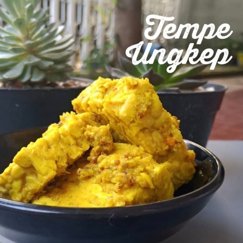 

tempe ungkep frozen food halal / ukep frosen