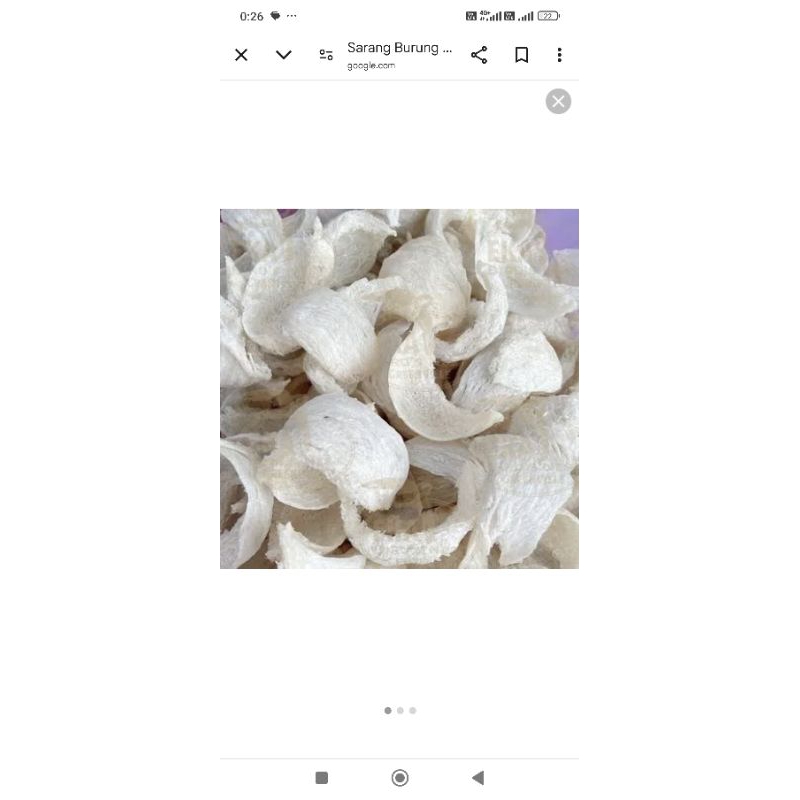 

sarang walet grade 1