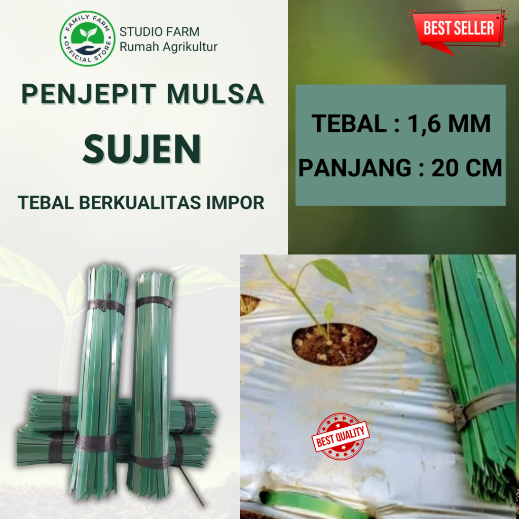 GROSIR PENJEPIT MULSA / SUJEN / PAKU MULSA / TUSUK MULSA -  PANJANG 20CM ( TEBAL )