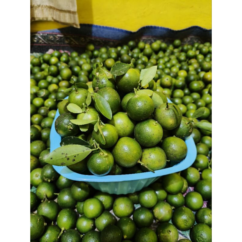 1.kg jeruk sonkit segar