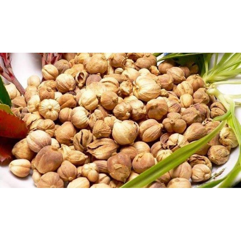 

REMPAH-REMPAH KAPULAGA ORIGINAL 500 GRAM