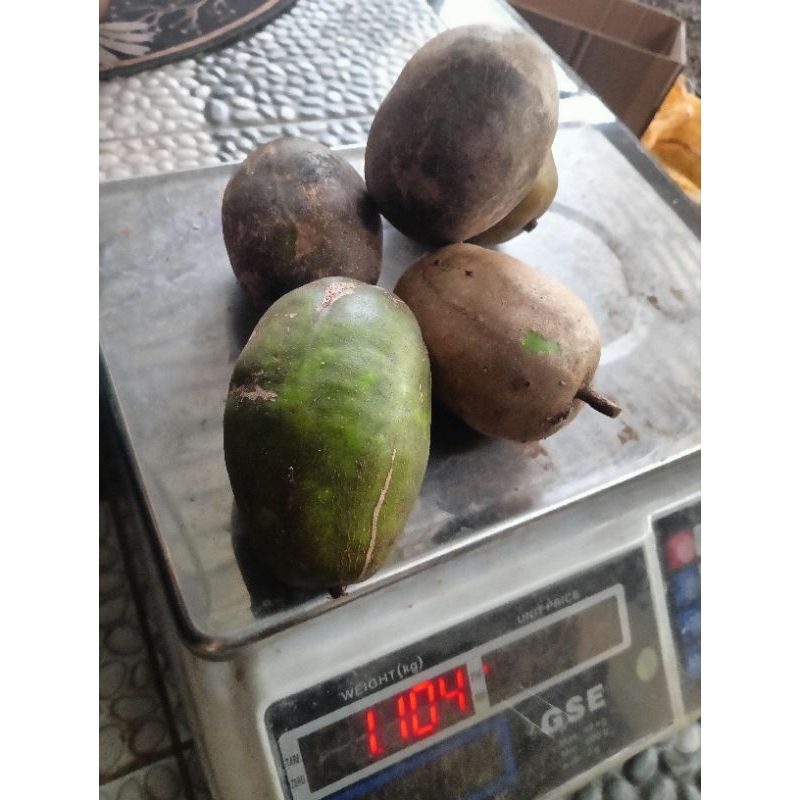

kedondong bangkok segar 1kg