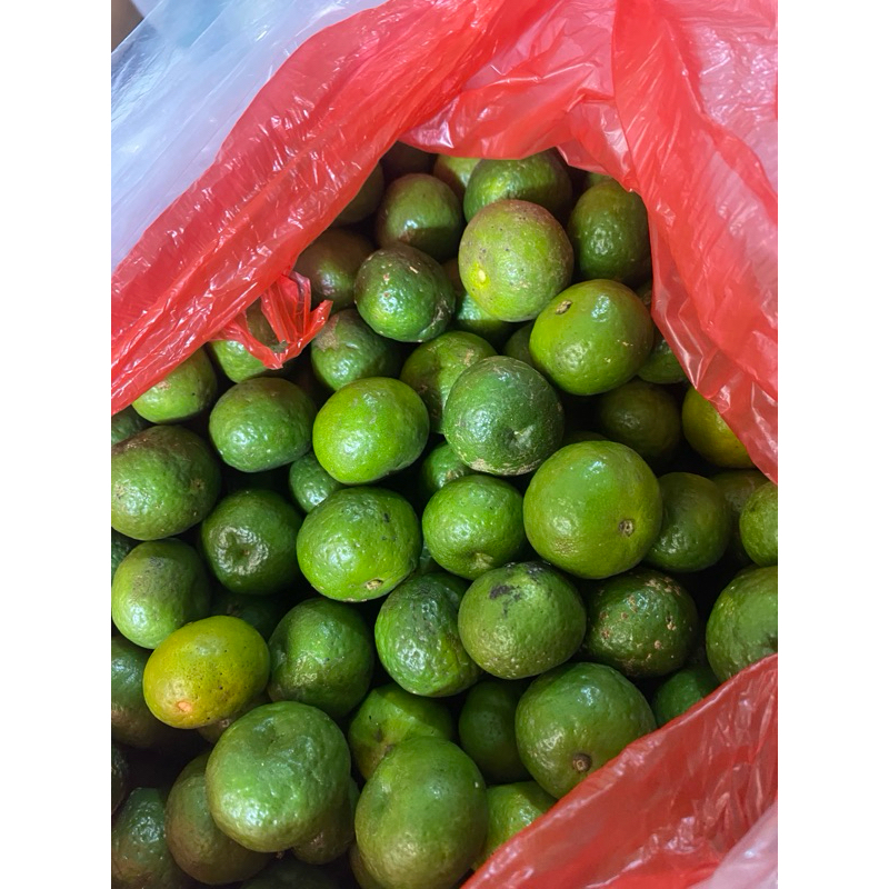 

Jaruk Limo SEDANG / jeruk limau / hijau / fresh / 1 kilogram