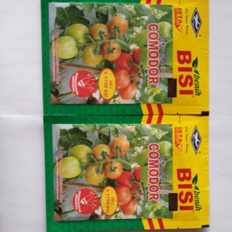 benih tomat comodor 5 gr (1750 biji)