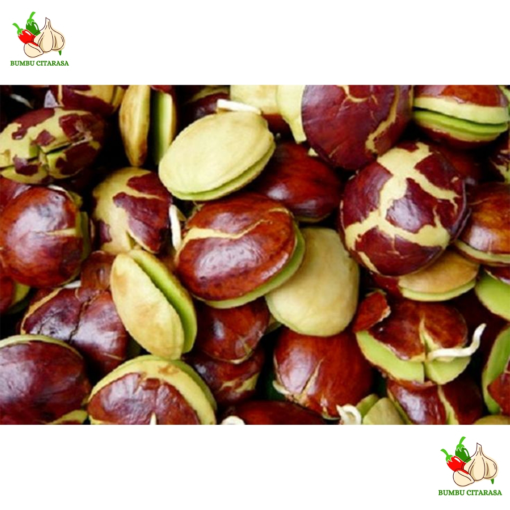 

Jengkol jengki tua fresh 1 kg