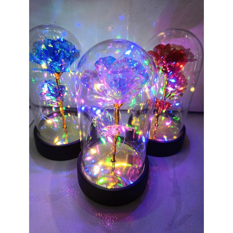 

GLASS DOME / BUNGA KACA / BUNGA LAMPU / KADO / HAMPERS / GIFT CEWE / BUNGA