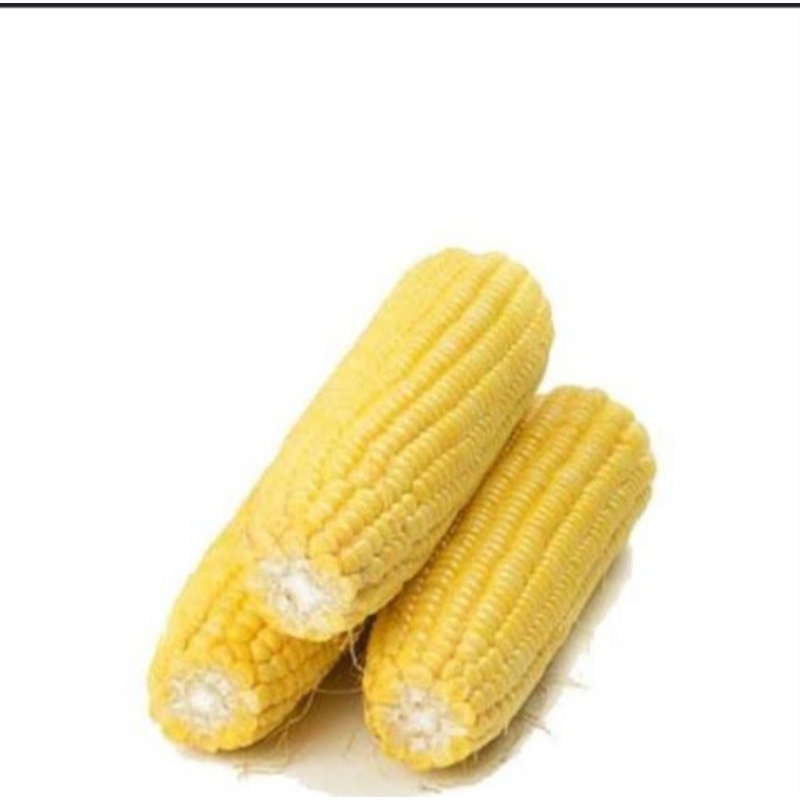 

jagung manis kupas 1kg