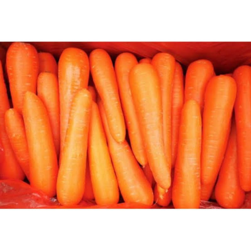 

Wortel import fresh 1kg