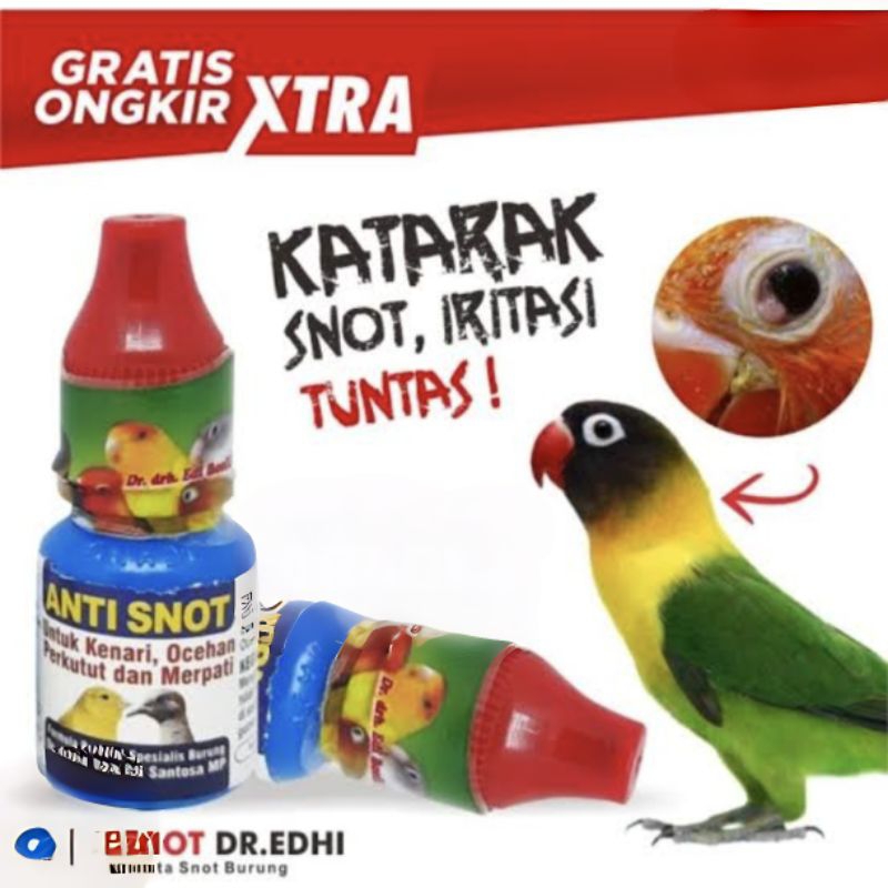 Anti snot original obat burung snot iritasi mata burung