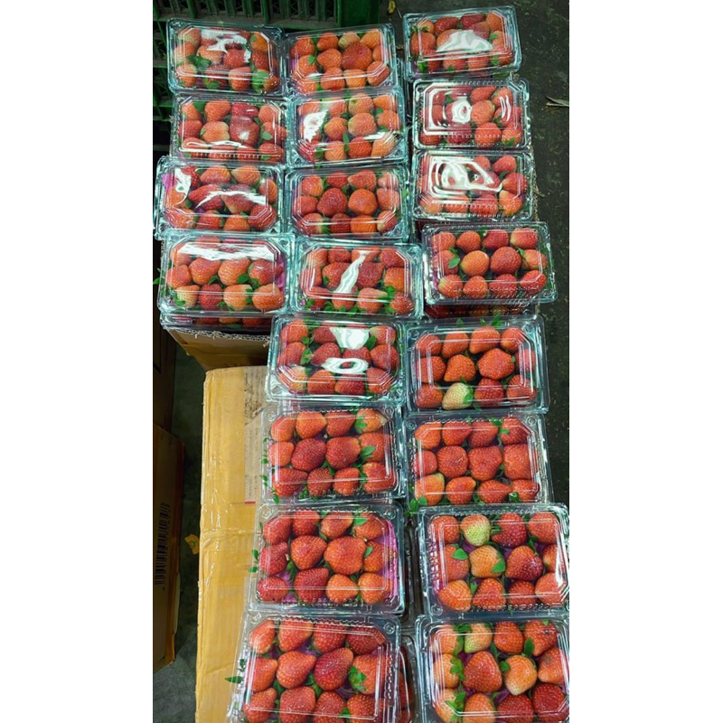 

[BACA DESC] Strawberry Fresh ±250gr