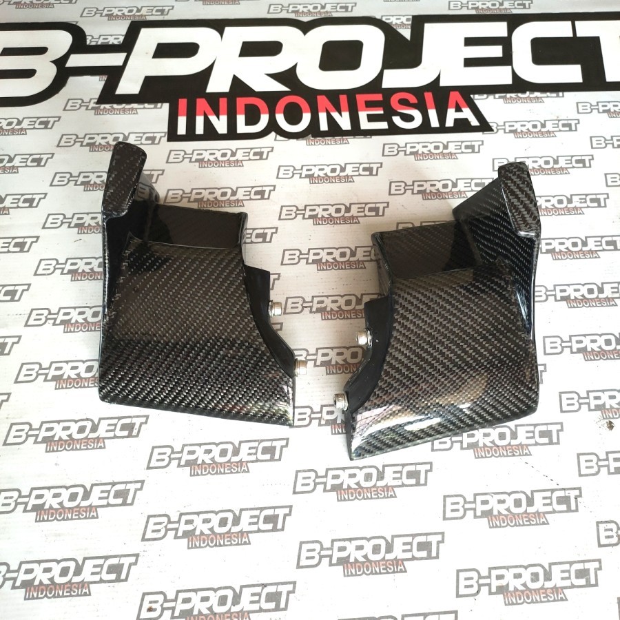 winglet firing h2/h2r.real carbon