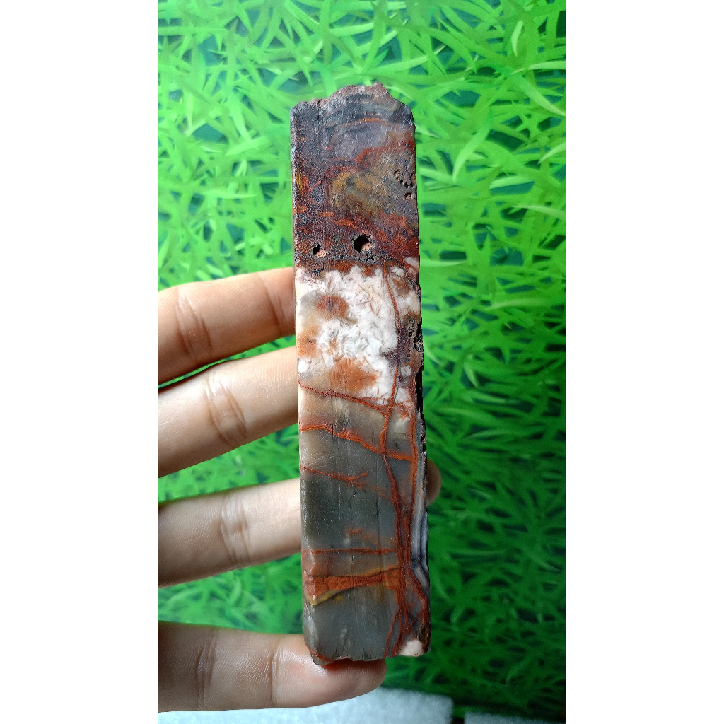 Batu Natural Mexico Agate Rough /Raw Stone (9)