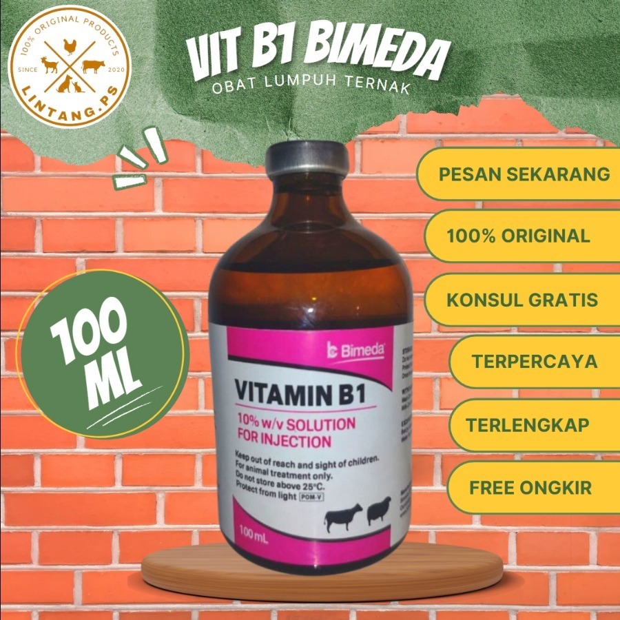 Vitamin B1 100ml Grosir 12 Pcs - Vitamin B1 Injek - Obat Hewan Ternak - Obat Injeksi Hewan Ternak