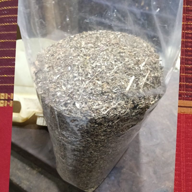 

Daun meniran kering herbal 250gr