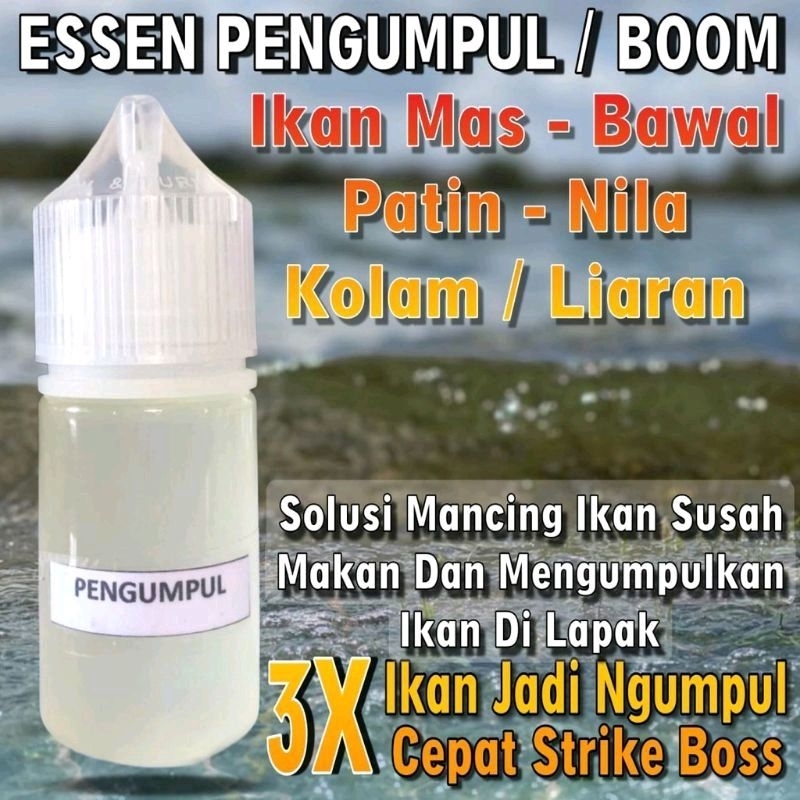 RAJA PODIUM Essen pengumpul semua jenis ikan, Essen bikin ikan pada kumpul-115