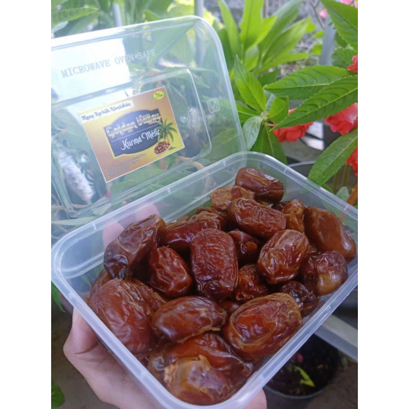 

kurma golden valley