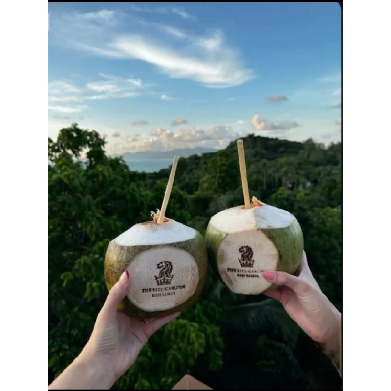 

Stik Stamp Bakar Kelapa Degan 2 Merk