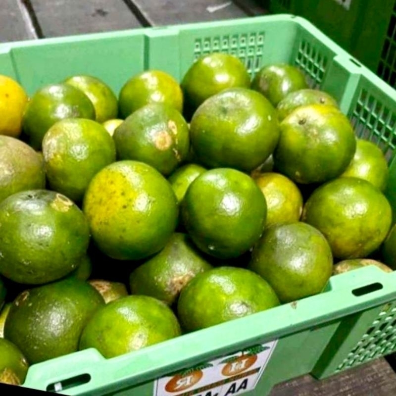 

Jeruk Peras Pontianak 1 Kg